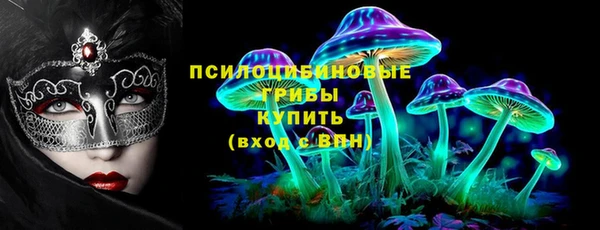 стаф Гусиноозёрск