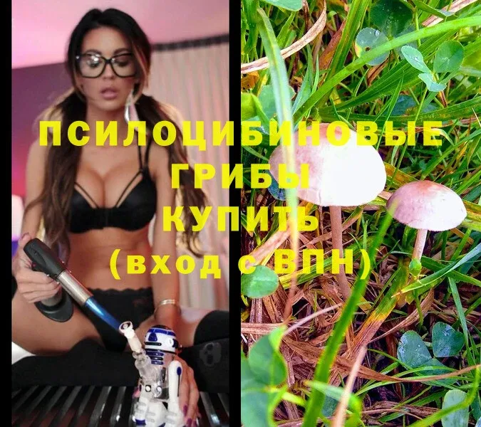 как найти закладки  Десногорск  Псилоцибиновые грибы Magic Shrooms 